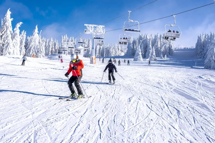 Skiing Basics for Beginners