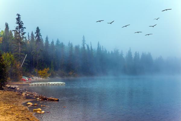 Rocky Mountain National Park birds