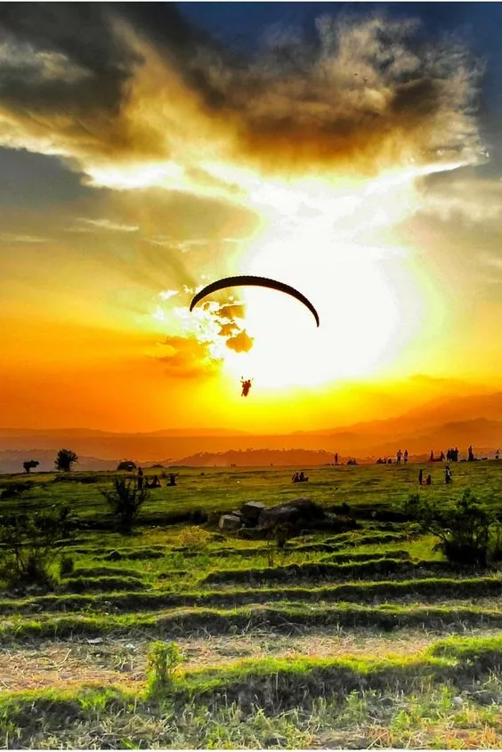 7 Things to Expect When You Paraglide: