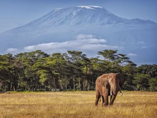 Tallest mountain in Africa