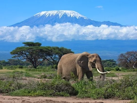 Tallest mountain in Africa