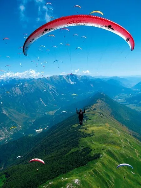 Is there any paragliding terminology?
