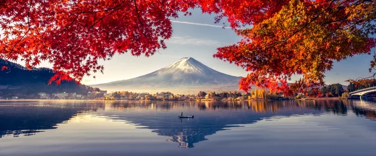 Colorful Autumn Season and Mountain Fuji 